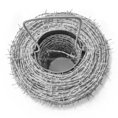 Forte segurança de aço carbono CBT65 BTO30 BTO-22 Concertina Roll Double Strand Razor Blade Barbed Wire para vedação durável