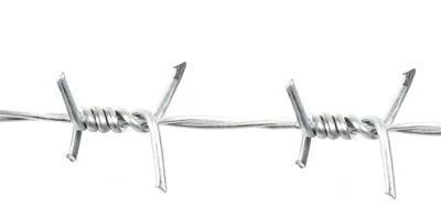 Distribuidor de arame farpado galvanizado a quente