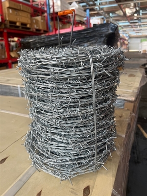 Grande proteção garantida galvanizado fio de aço duplo anel de barbear cerca de arame farpado para reprodução em estrada fronteira pastagem