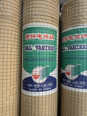 Galvanizado 60 80mm aço Grelha de rede de frango Fazenda Triple Twist PVC revestido Hexagonal Wire Mesh Twill Tecer e cortar ao tamanho