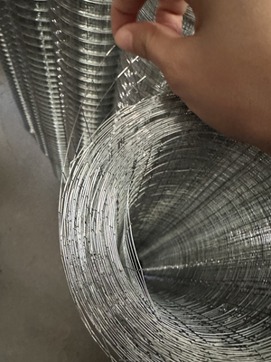 Especificações padrão Twill Weave JHT Bird Cage Galvanizado Soldado Rol de malha de aço para atender aos requisitos do cliente